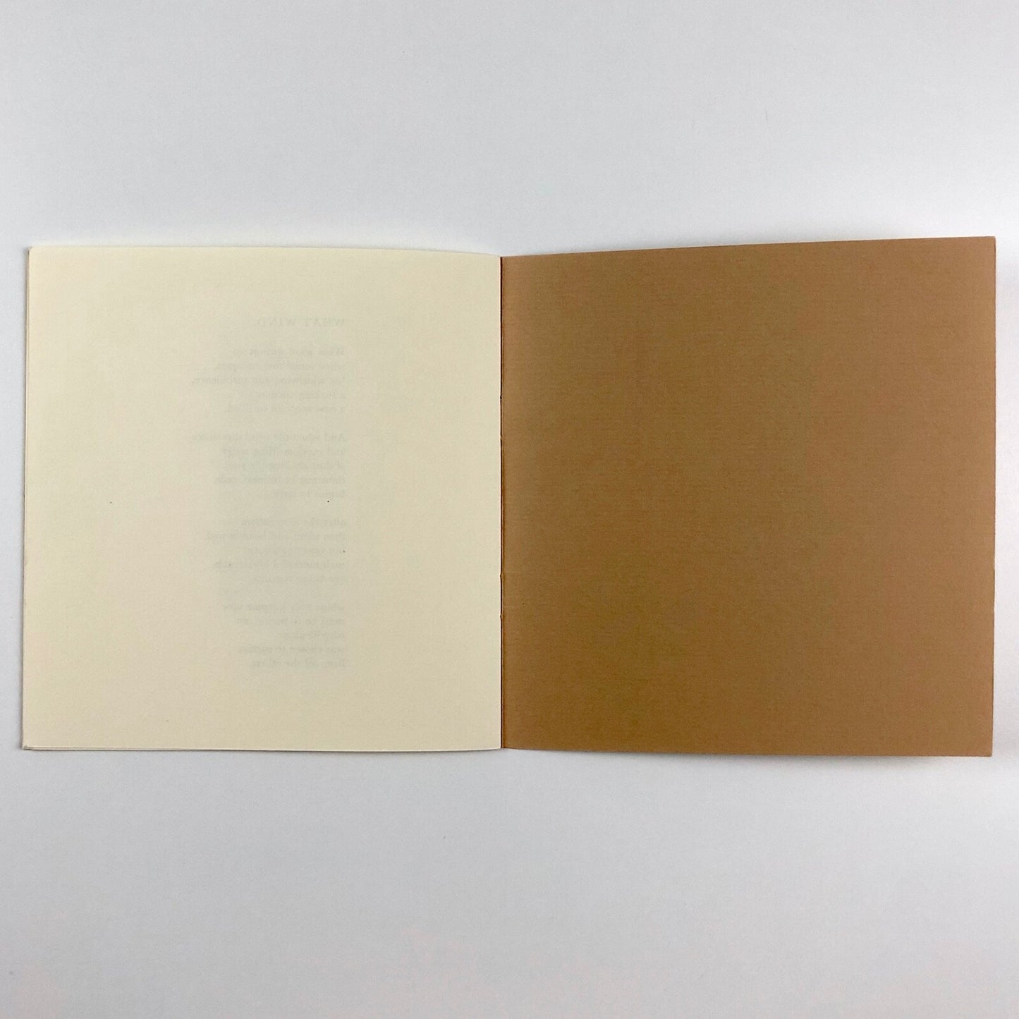 Two Wind Poems by Ruth Fainlight | Martin Booth publisher, 1980