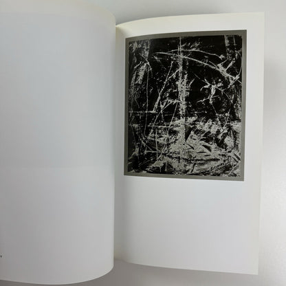 Anthony Pearson. Solarizations | Midway Contemporary Art exhibition catalogue, 2008