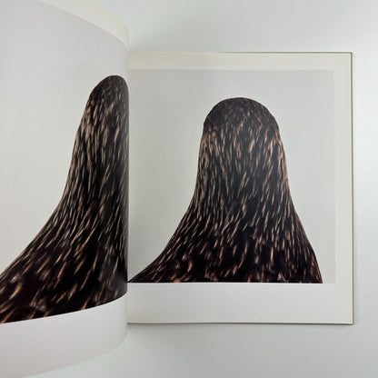 Bird. Roni Horn catalogue | Steidl Hauser & Wirth, London 2008