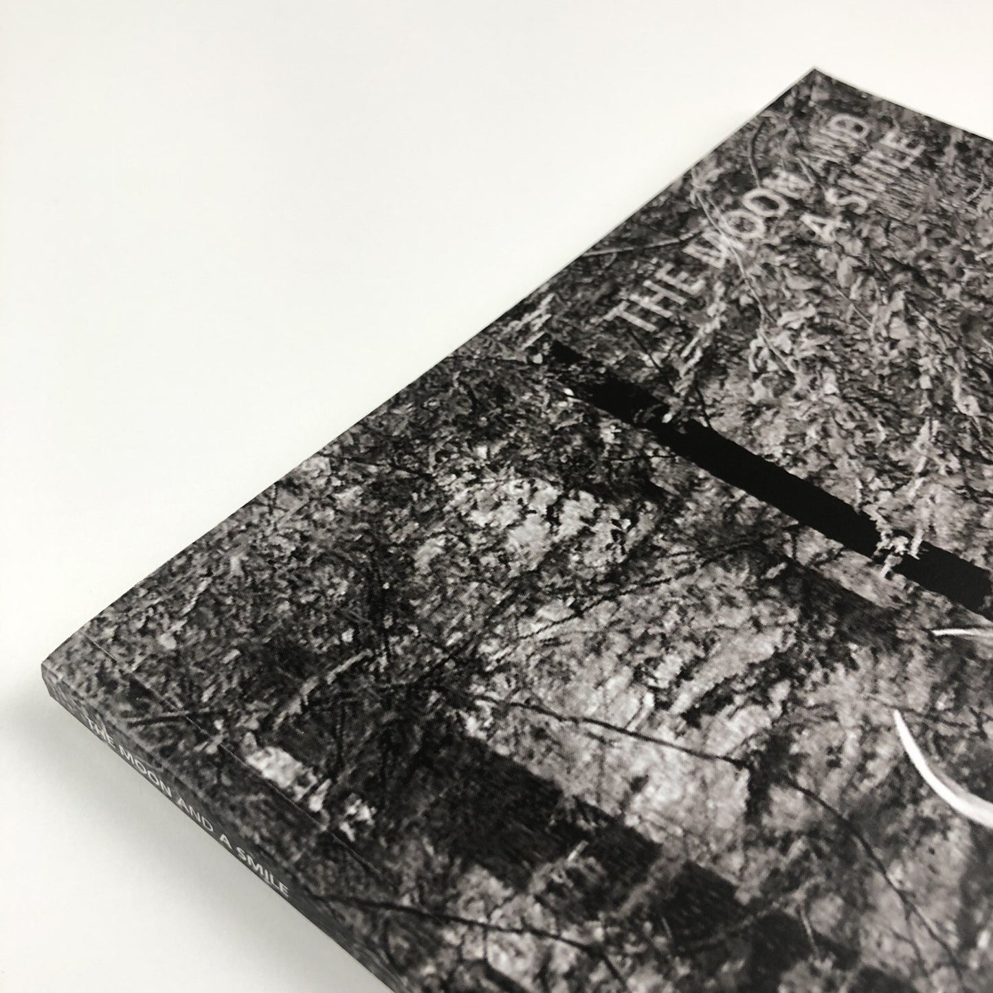 The Moon and a Smile | Glynn Vivian Art Gallery exhibition catalogue, 2017