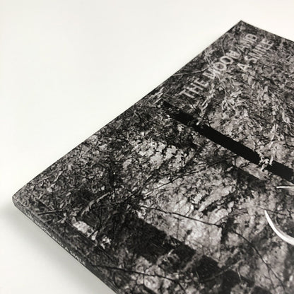 The Moon and a Smile | Glynn Vivian Art Gallery exhibition catalogue, 2017
