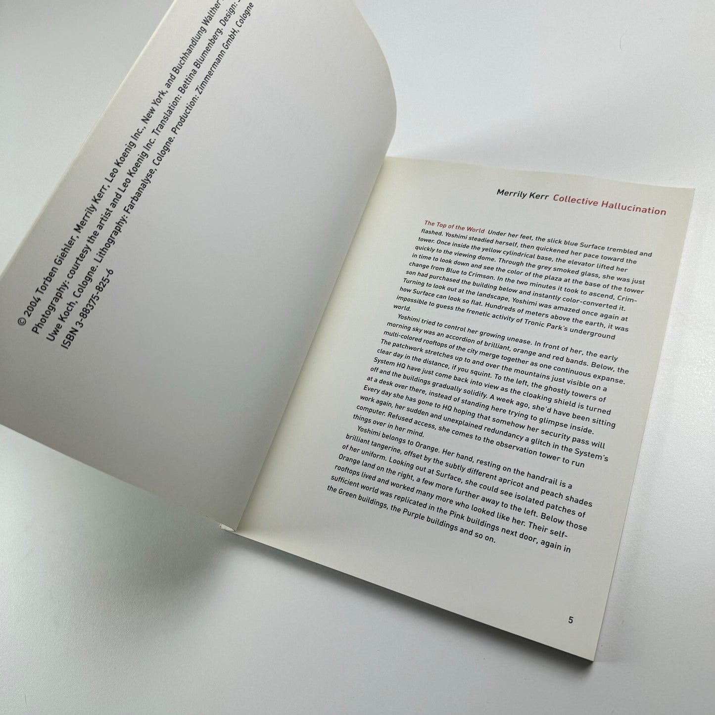 Torben Giehler. Essay by Merrily Kerr | Leon Koenig, New York, 2004