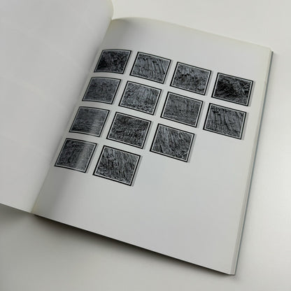 Olafur Eliasson: Photographs by Matthew Drutt | The Menil Collection catalogue, 2004