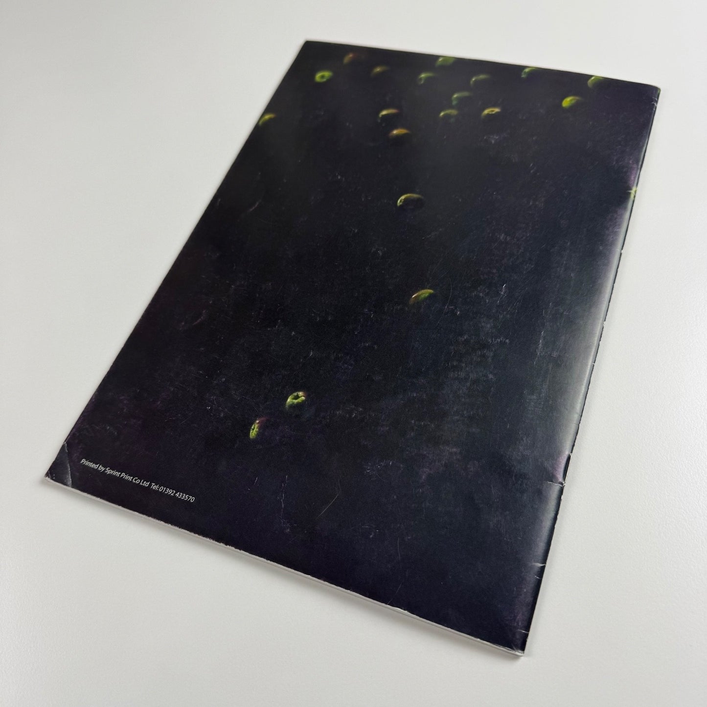 Desideratum. A cycle of works 1998-2004 by Nicholas Charles Williams, St Mary’s Cathedral, Edinburgh; Royal Cornwall Museum, Truro; Russell-Cotes Art Gallery & Museum, Bournemouth, 2004