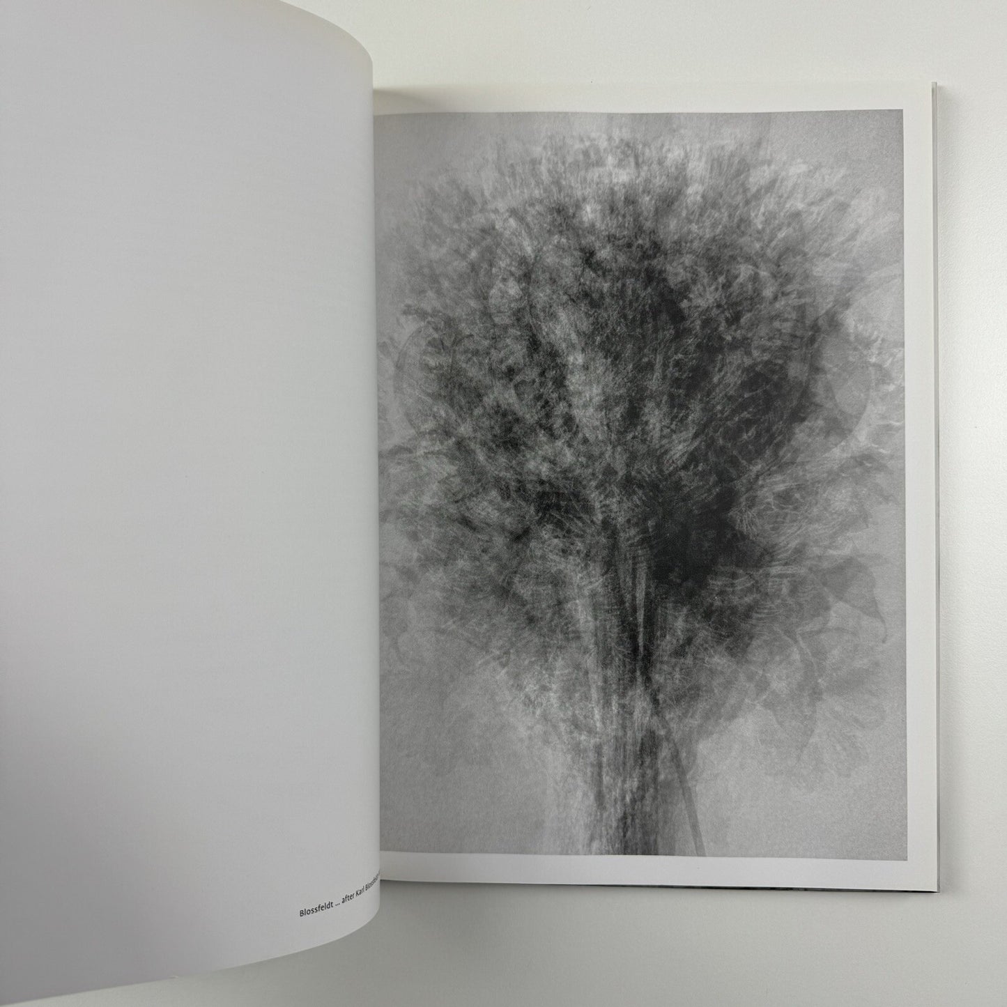 Idris Khan every... | K20 Kunstsammlung Nordrhein-Westfalen, 2008 catalogue