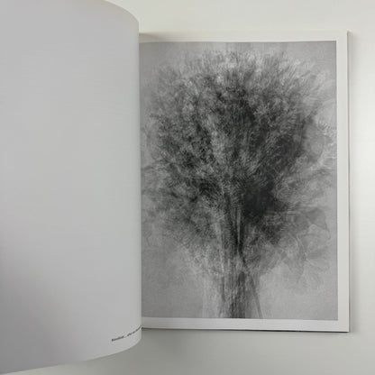 Idris Khan every... | K20 Kunstsammlung Nordrhein-Westfalen, 2008 catalogue