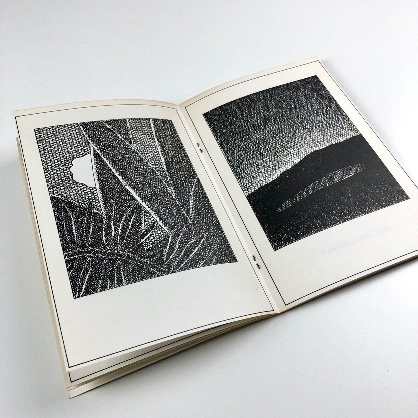 Transit of Venus by David Willetts | Coracle Press, 1975 | signed and numbered
