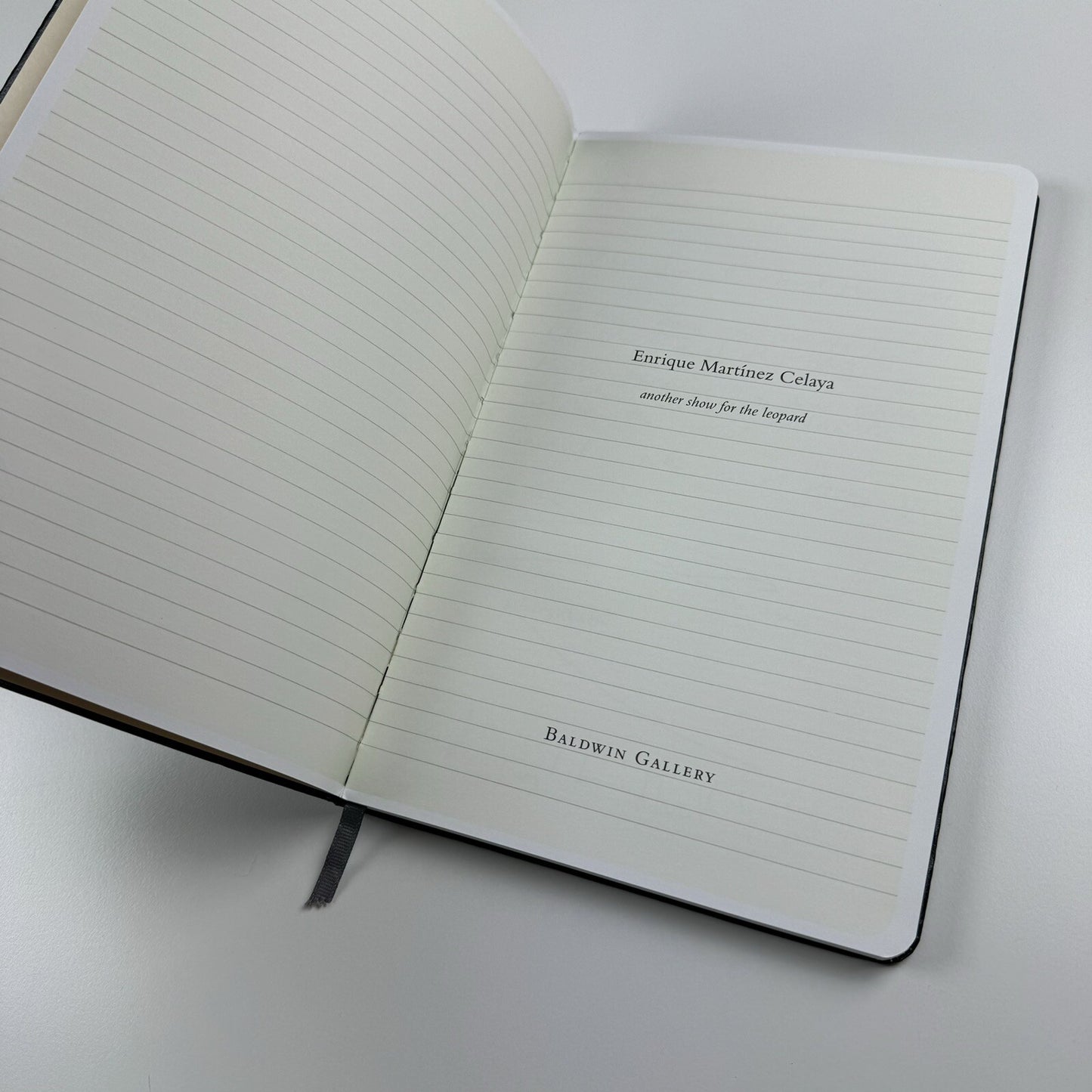 Enrique Martínez Celaya: Another Show for the Leopard Baldwin Gallery | 2007 exhibition catalogue