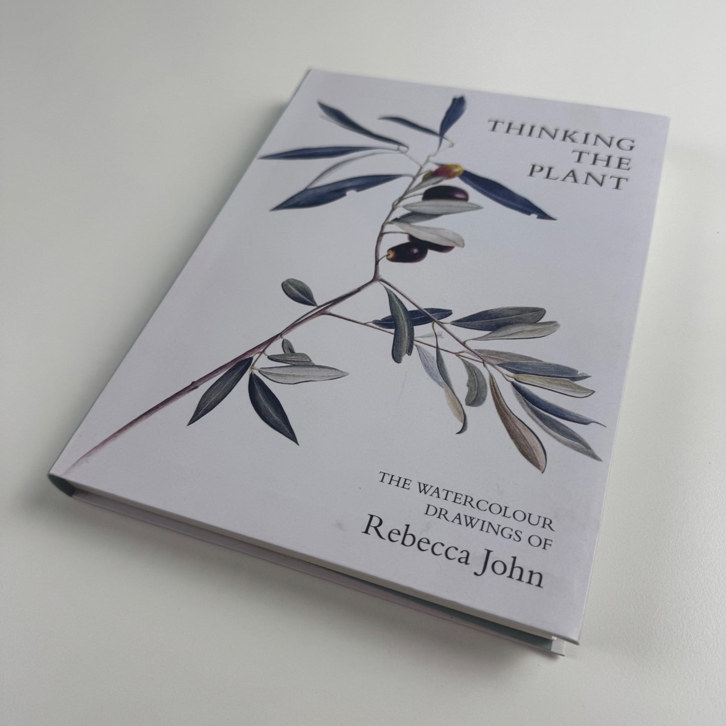 Thinking the Plant. The watercolour drawings of Rebecca John | Pimpernel Press, 2020