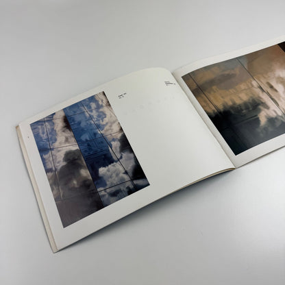 Brendan Neiland Recent Paintings | Fischer Fine Art London 1991