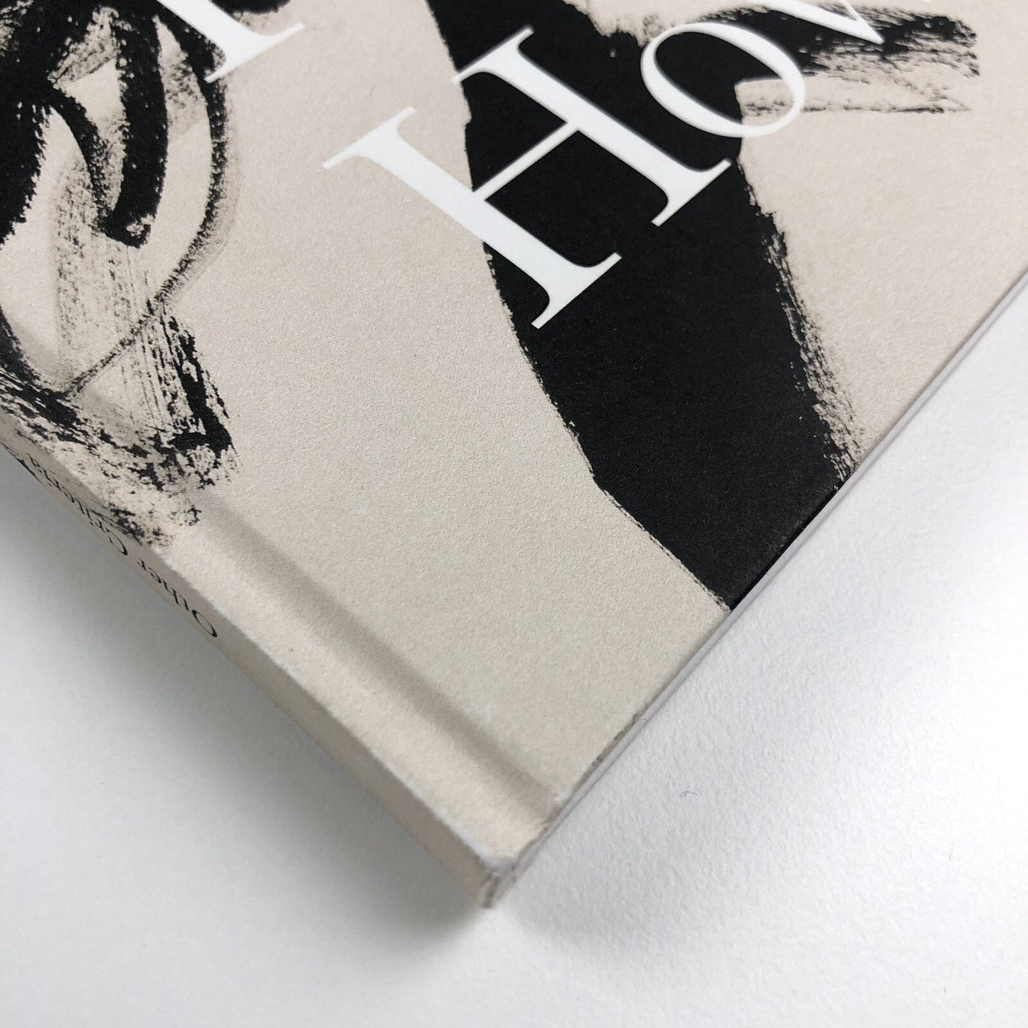 Fiction/Fear/Fact/ Rachel Howard | Other Criteria, 2007