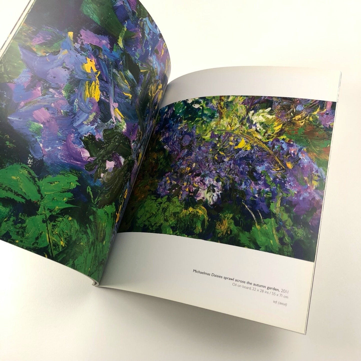 Ray Atkins. At the Forest’s Edge. Paintings 2015 | Art Space Gallery catalogue