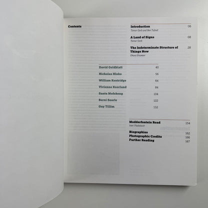 Home Lands - Land Marks: Contemporary art from South Africa Haunch of Venison, 2008