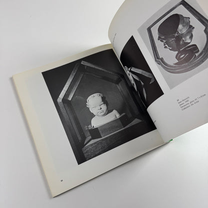 The Brotherhood of Ruralists by Nicholas Usherwood | Arnolfini Gallery 1980
