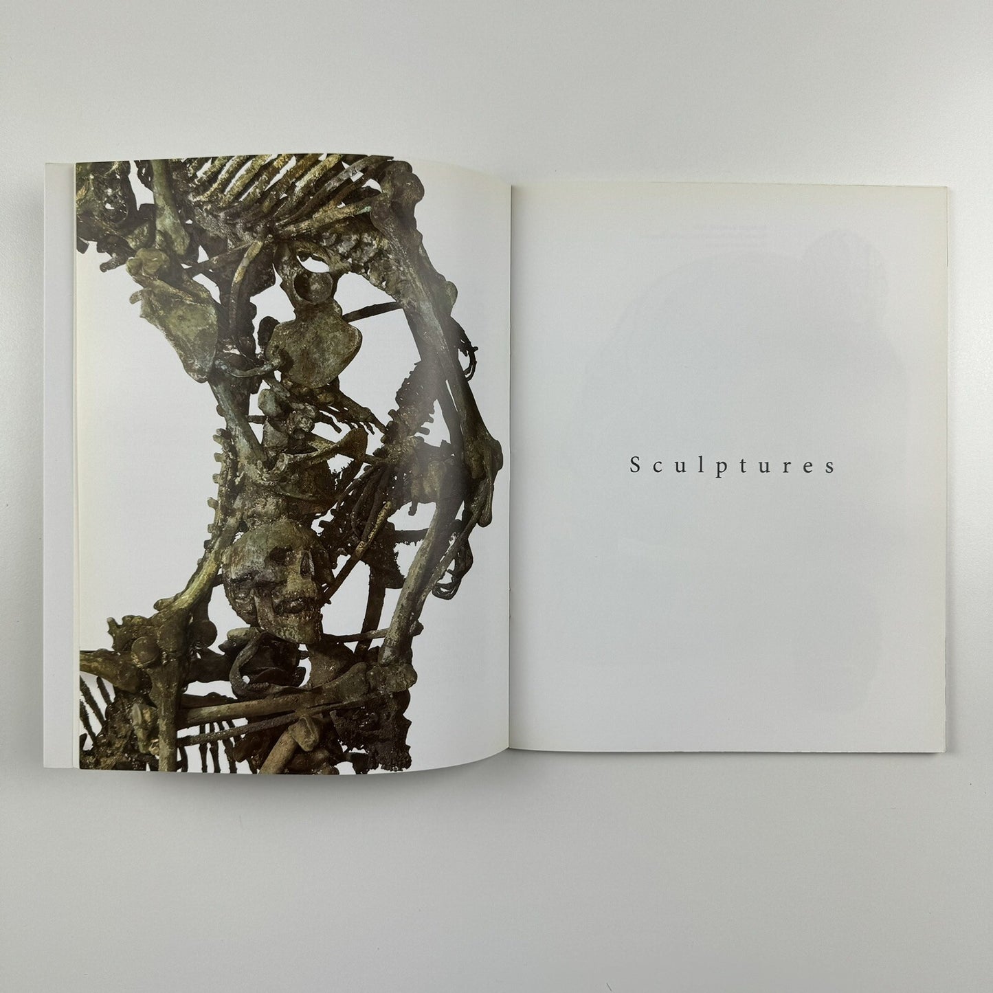 Steven Gregory. Down to the Bone | Opus Art/Trudie Stephenson exhibition catalogue, 2008
