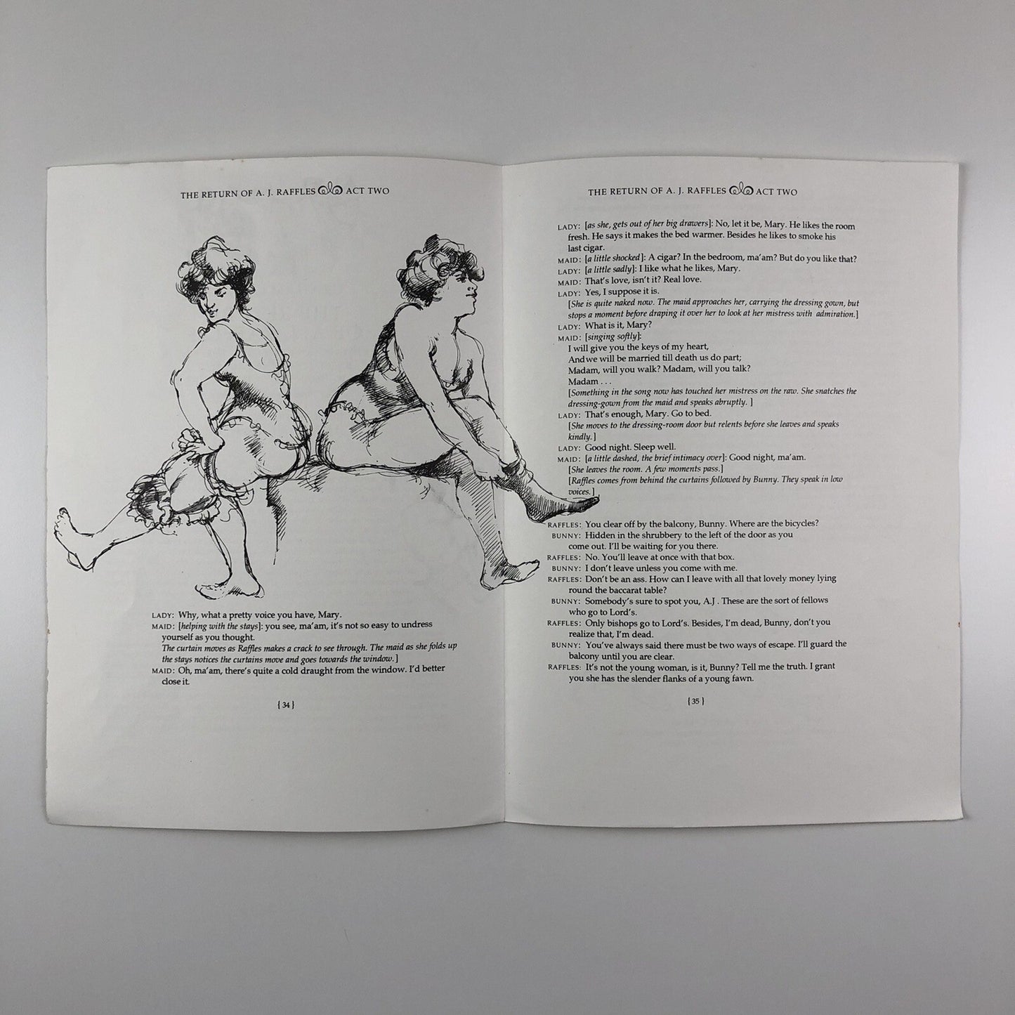Prospectus – The Return of AJ Raffles | Graham Green | Inky Parrot Press | Annie Newnham