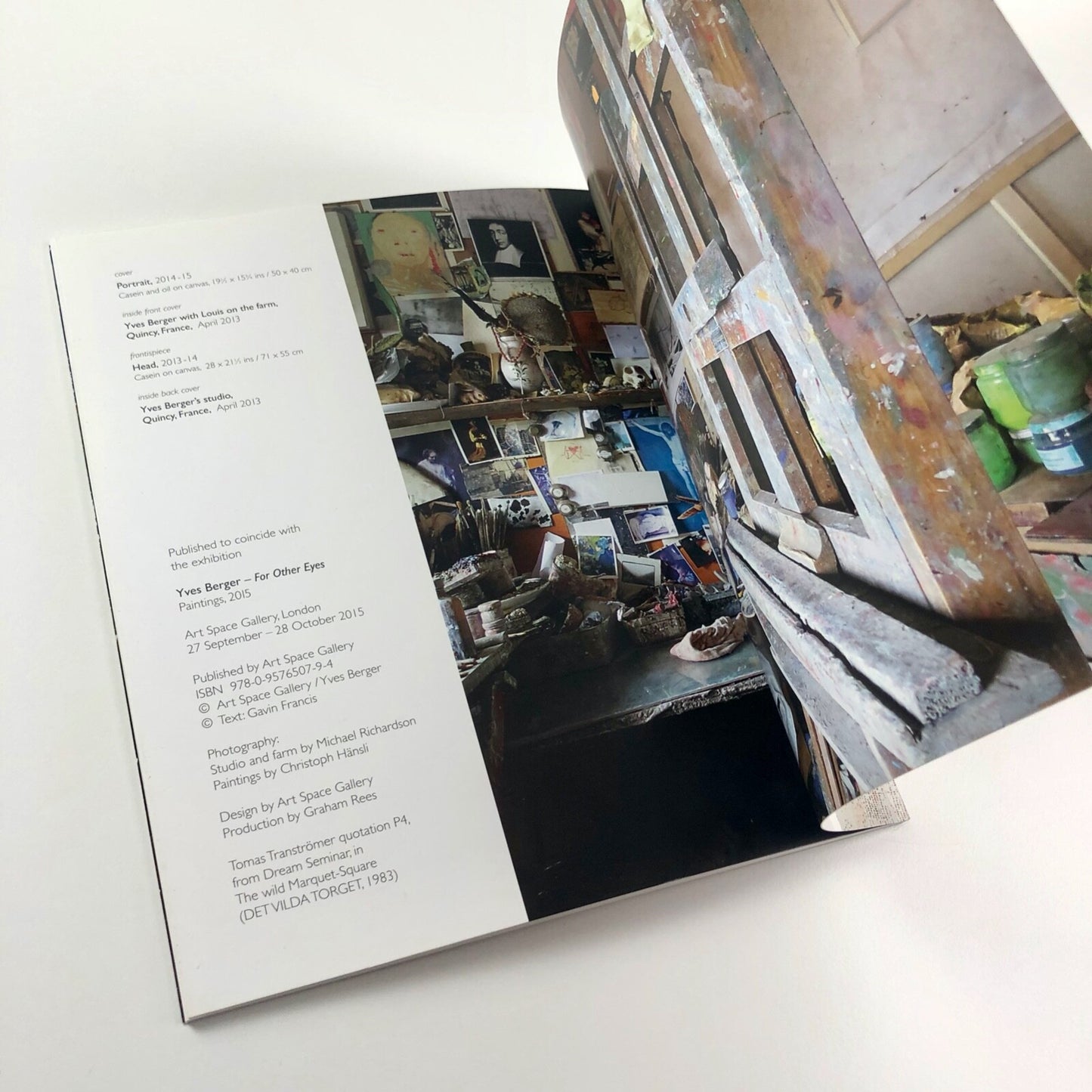 Yves Berger. For Other Eyes. Paintings 2015 | Art Space Gallery catalogue