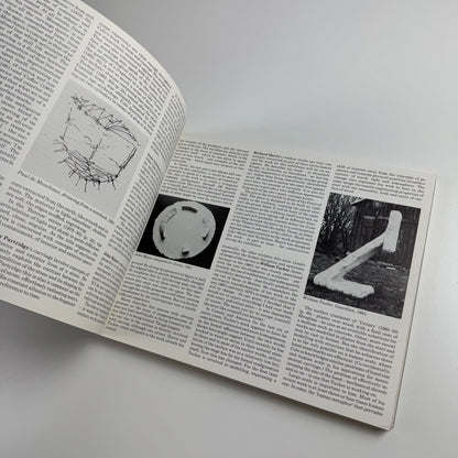 The Sculpture Show: Fifty Sculptors at the Serpentine & South Bank, 1983
