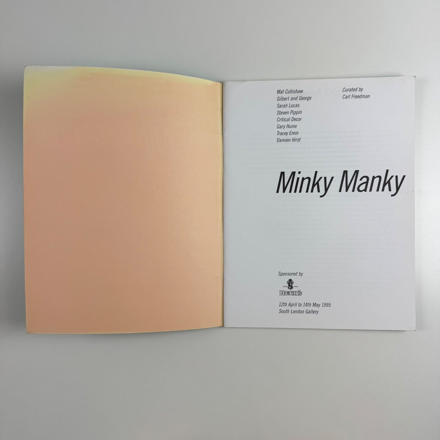 Minky Manky. Curated by Carl Freedman | South London Gallery, 1995
