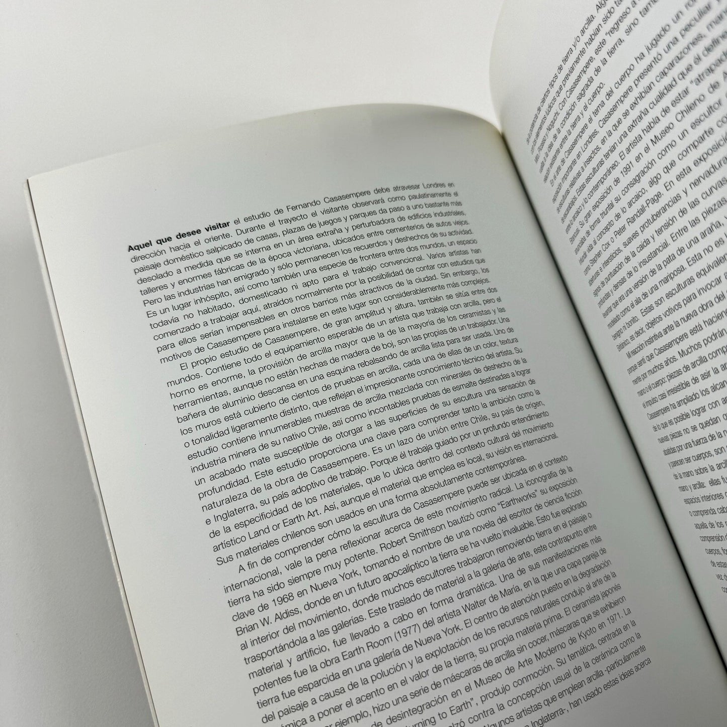 Fernando Casasempere: Interior Spaces – November 2003 | Marlborough, Santiago | Essay by Edmund de Waal