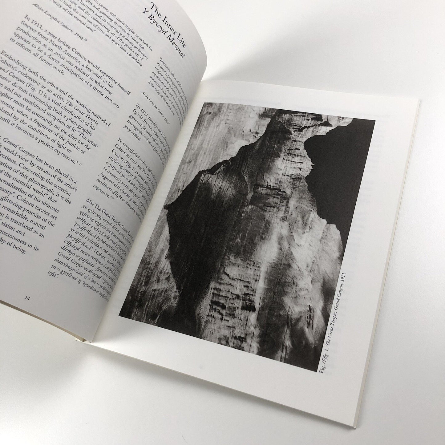 A Quest for Beauty | Alvin Langdon Coburn: Artist-Photographer | David Bellman, 1994