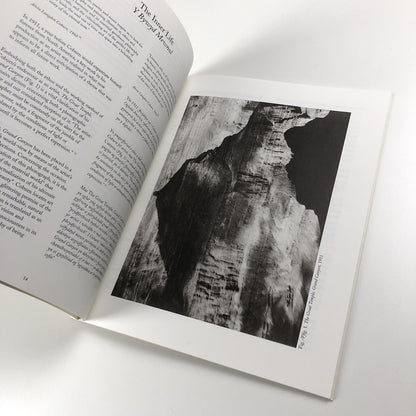 A Quest for Beauty | Alvin Langdon Coburn: Artist-Photographer | David Bellman, 1994