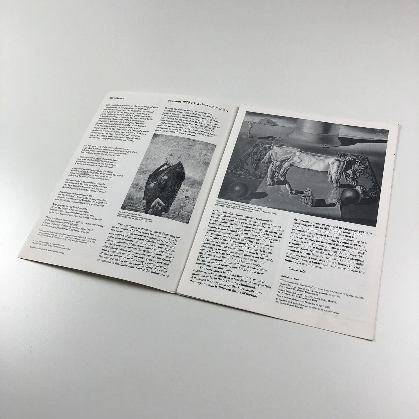 Dalí The early years | exhibition guide to Hayward Gallery 1994