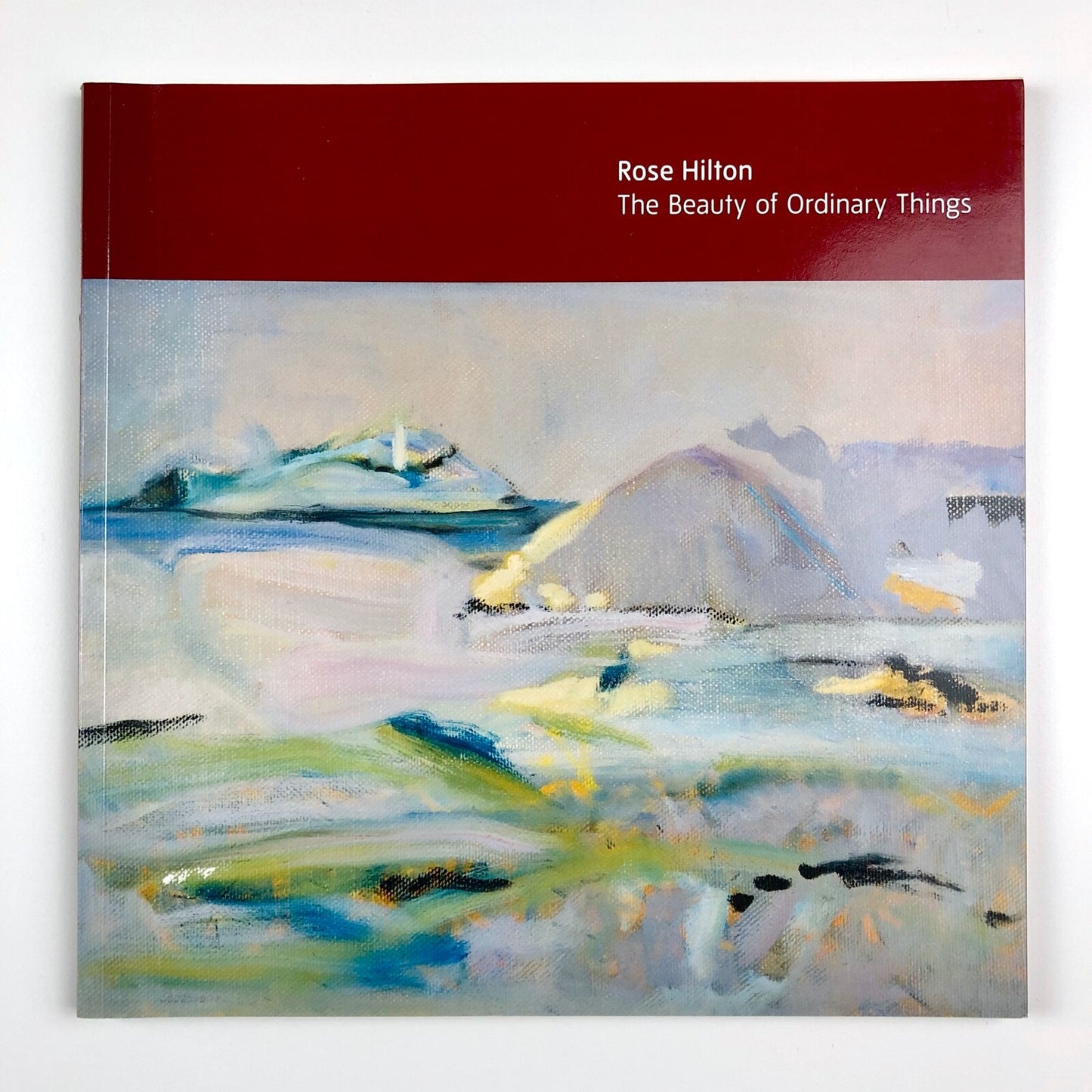 Rose Hilton – The Beauty of Ordinary Things | Tate catalogue, 2008