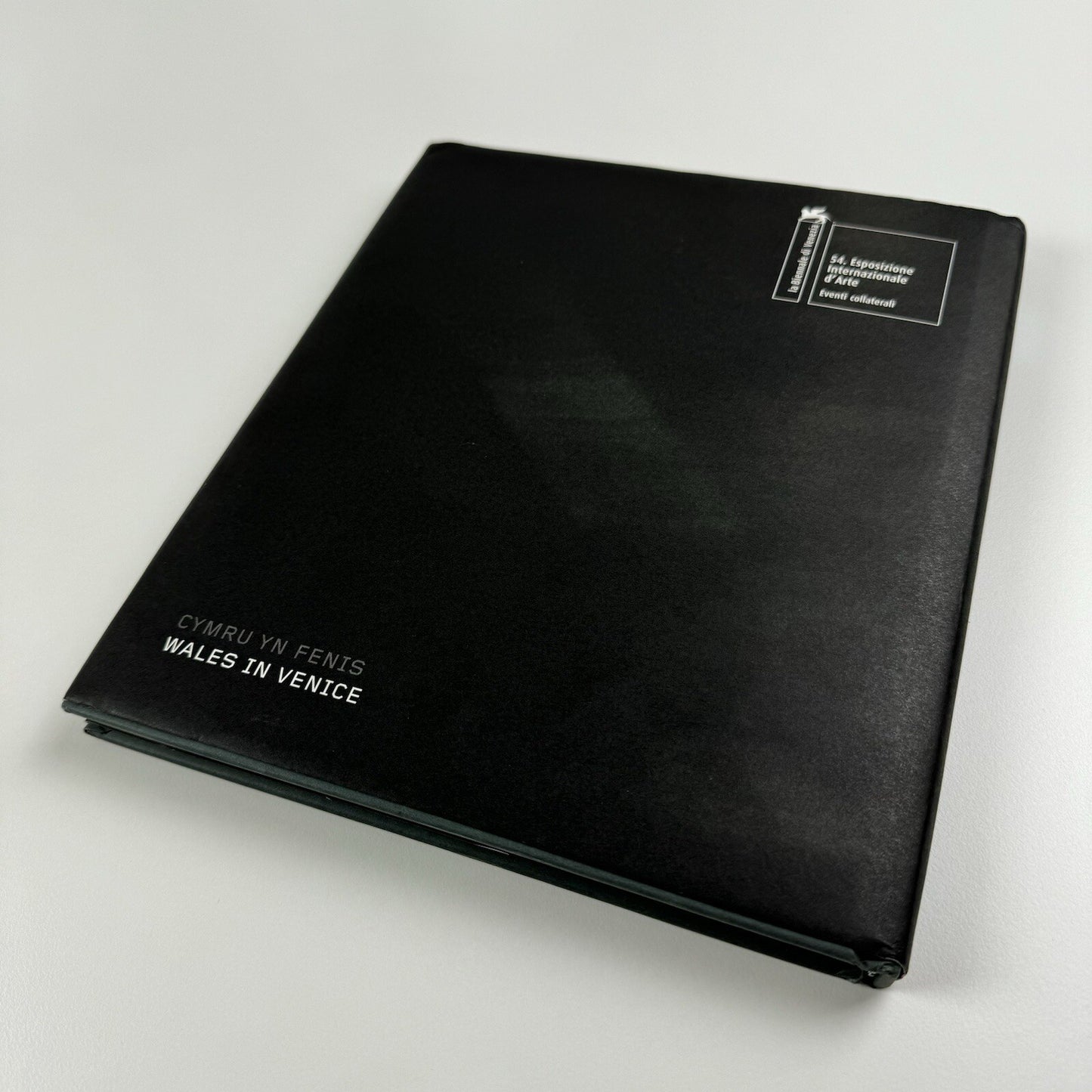 Tim Davies. Wales in Venice | 54th Internationale Art Exhibition 2011 catalogue