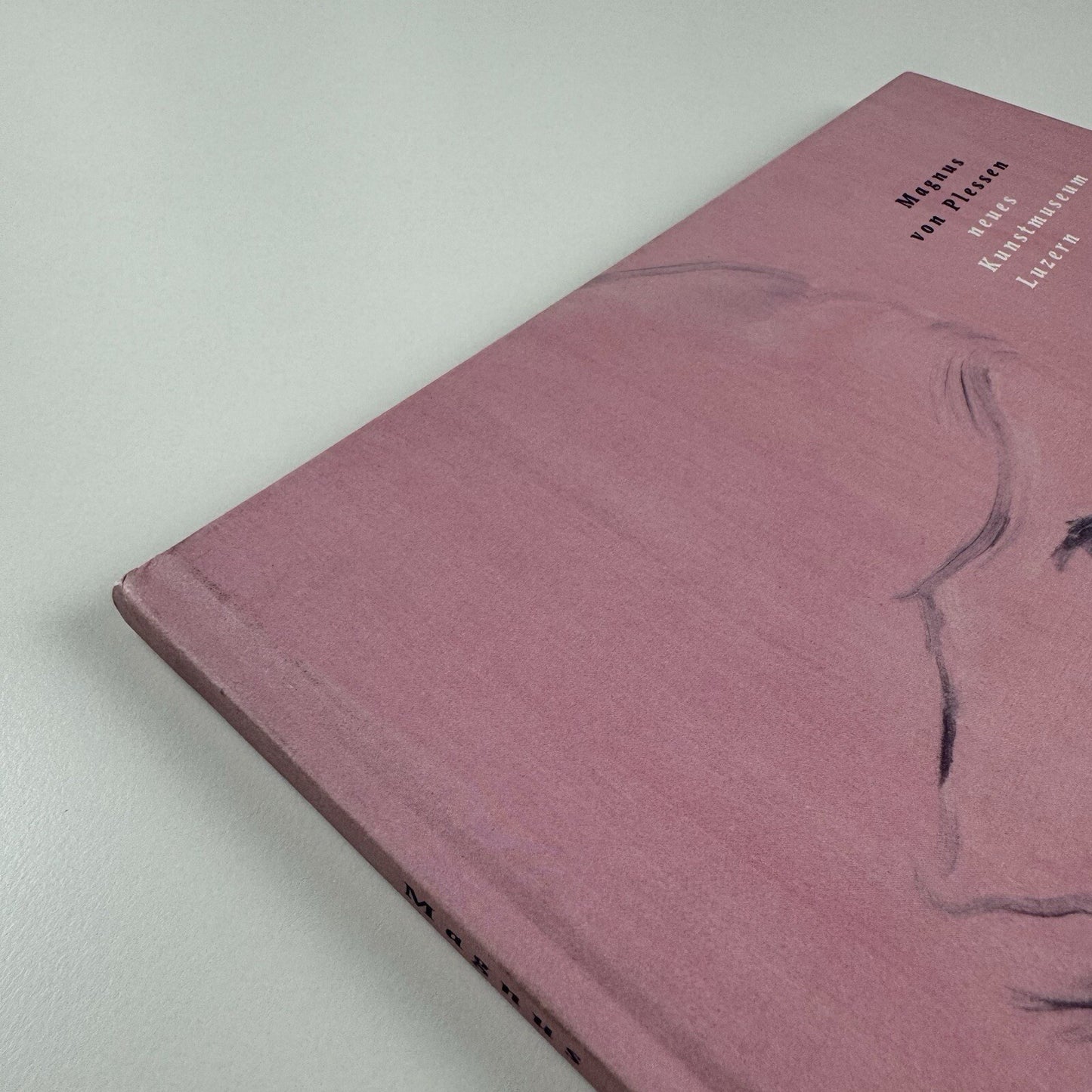 Magnus von Plessen | New Modern Art Museum Lucerne, 2001 exhibition catalogue