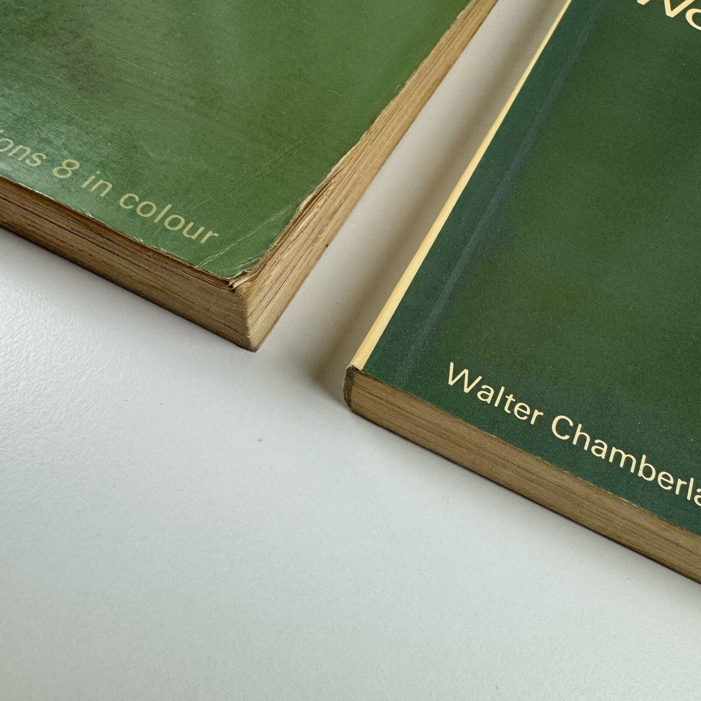 Etching and Engraving & Woodcut Printmaking by Walter Chamberlain | Two books, Thames & Hudson, 1978