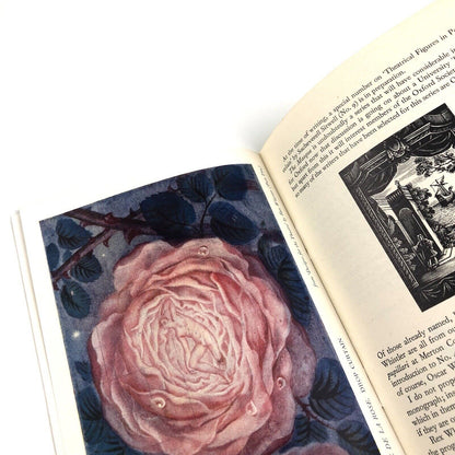 A Publishing House in the Parish of St Martins | The Masque | The Curtain Press | Reprinted from Oxford (Special Number) 1949