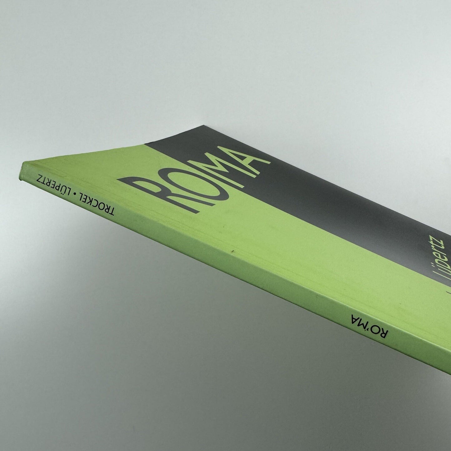 RO'MA - Rosemarie Trockel and Markus Lüpertz, 2006 Akademos exhibition catalogue