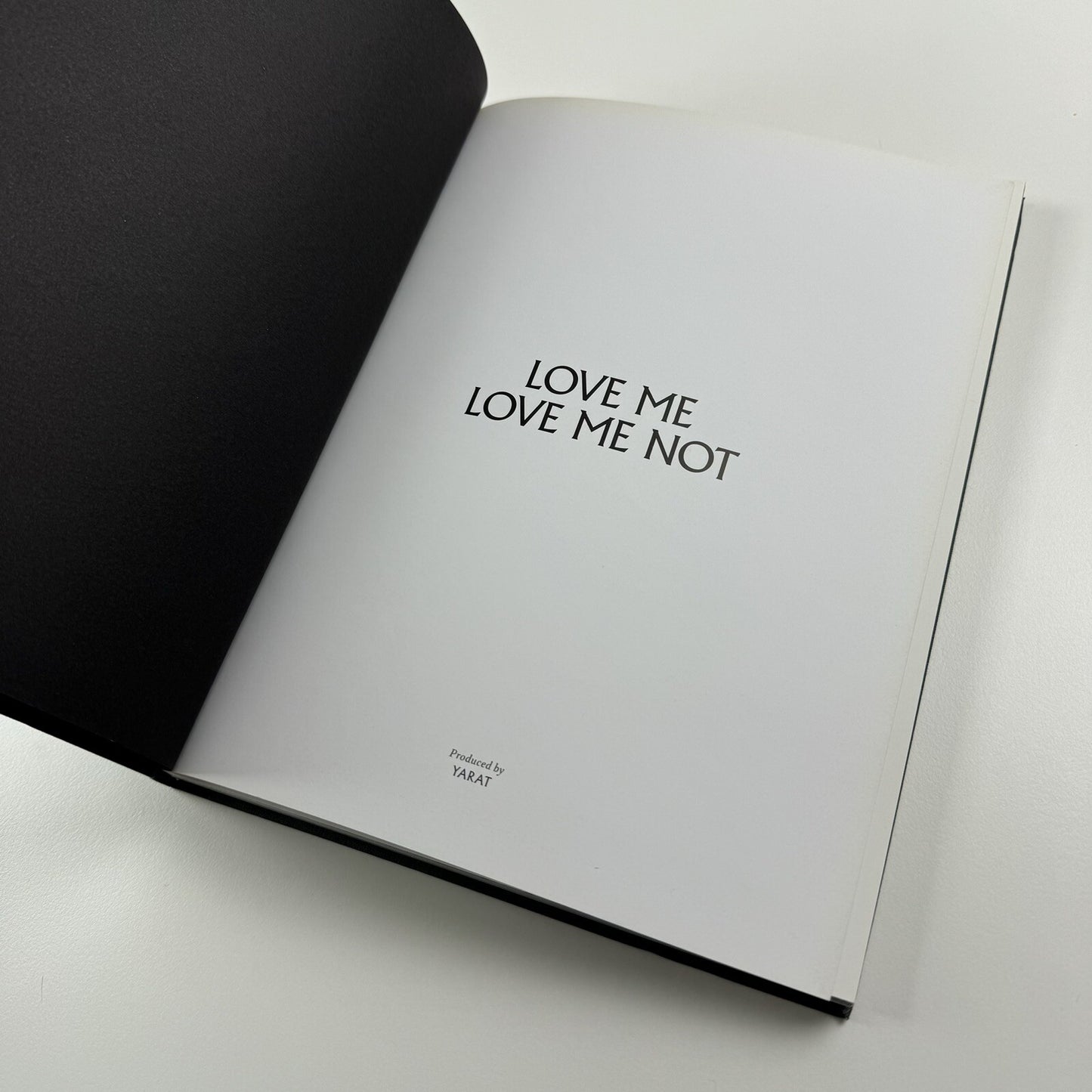 Love me love me not – Contemporary Art from Azerbaijan and its Neighbours, 2013 catalogue