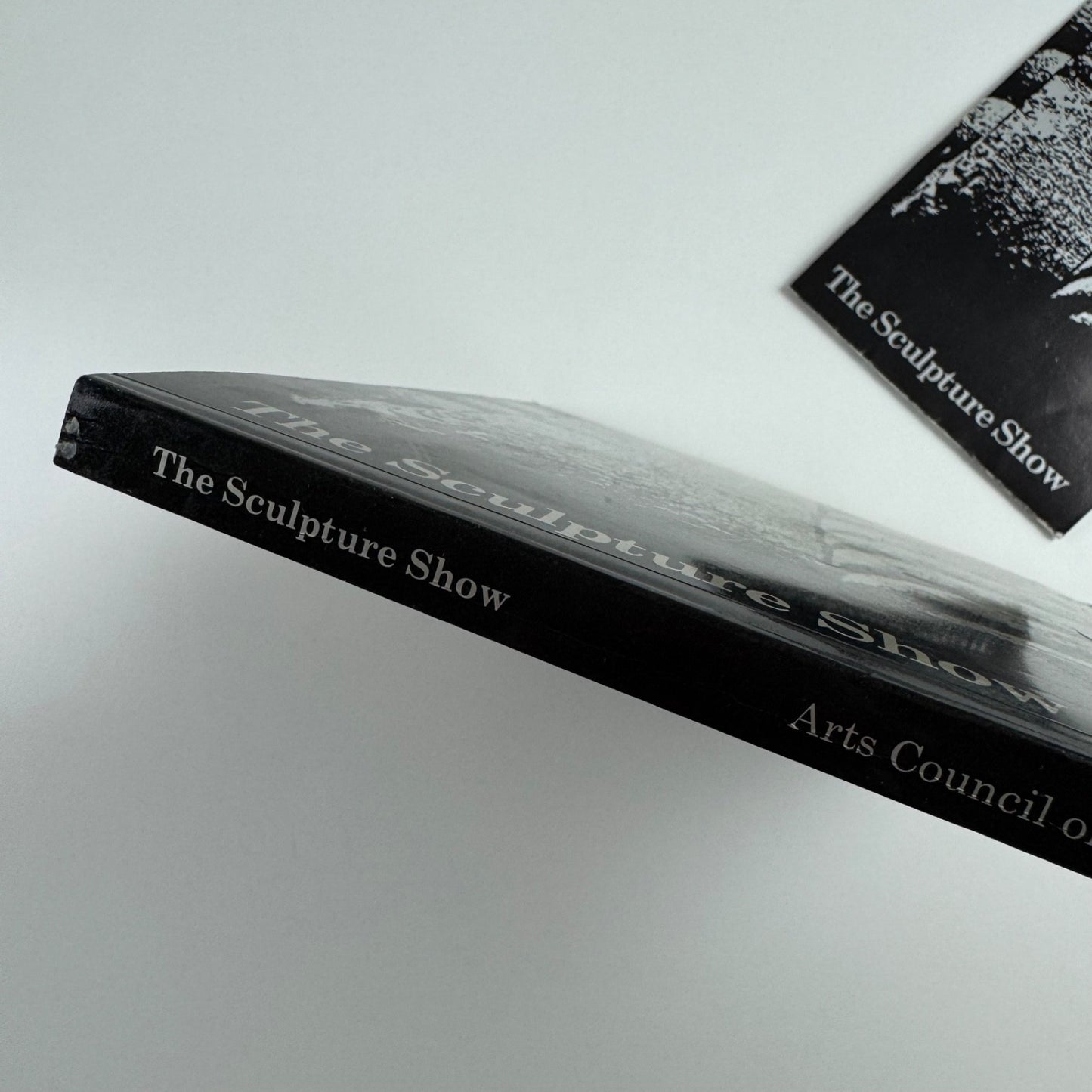 The Sculpture Show: Fifty Sculptors at the Serpentine & South Bank, 1983