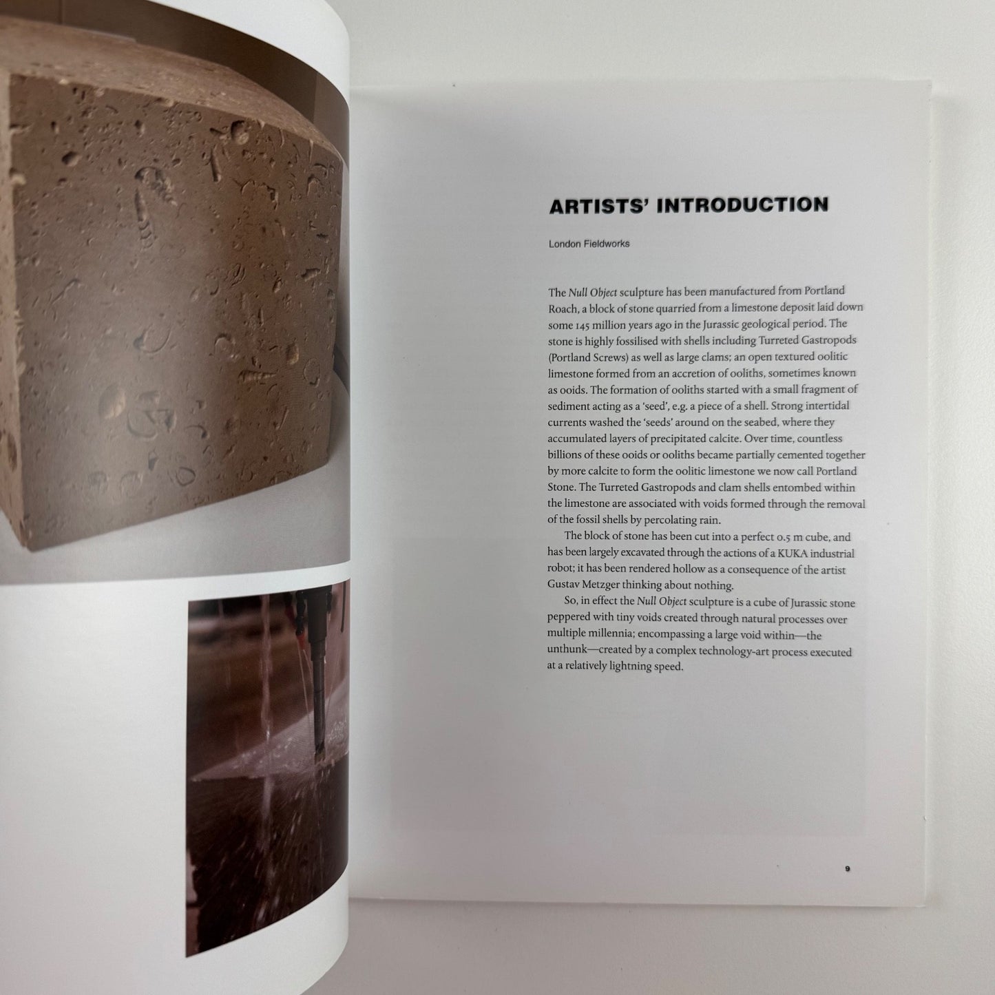 Null Object. Gustav Metzger thinks about nothing | Black Dog Publishing, 2012