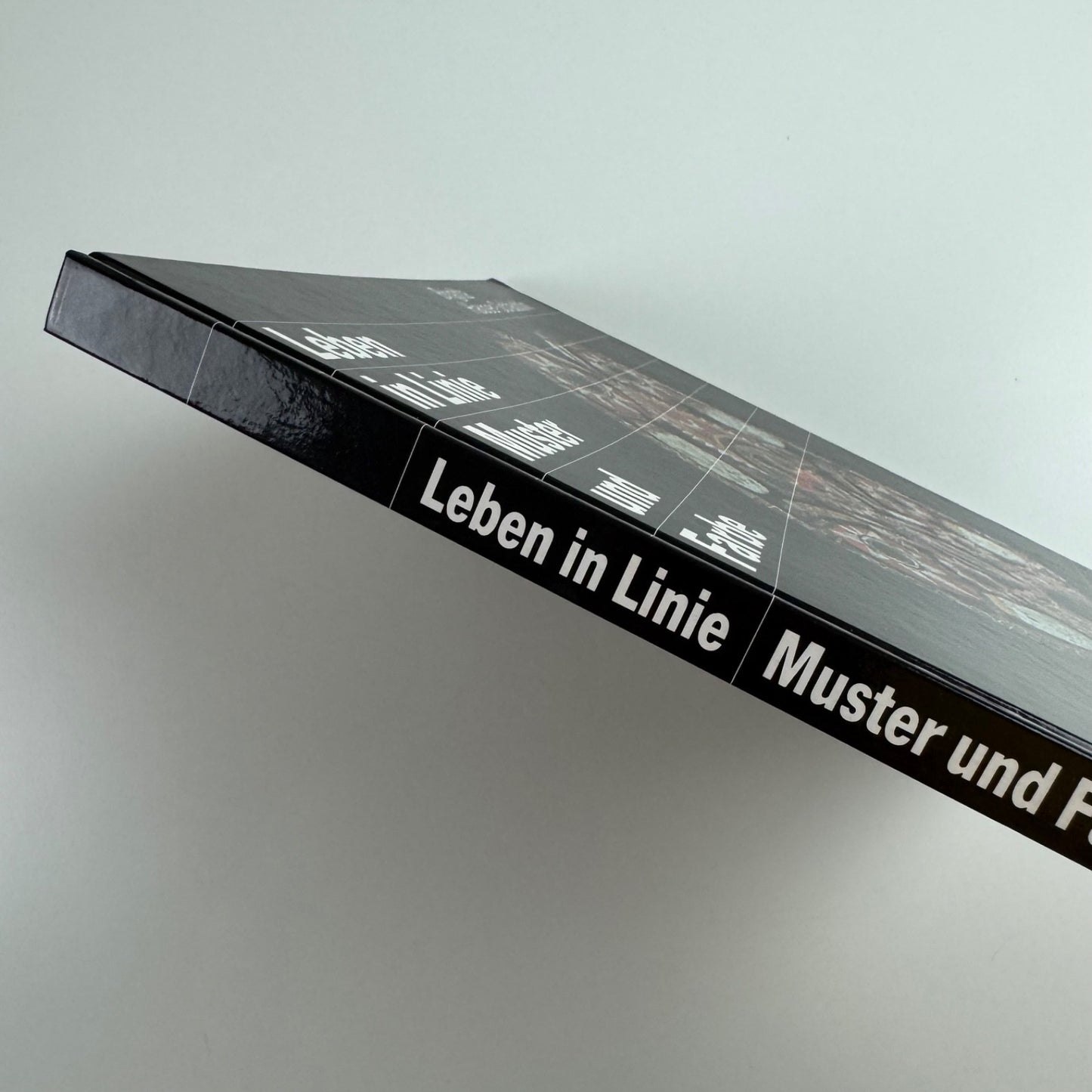 Leben in Linie Muster und Farbe by Brigitta Hauser-Schäblin | Birkhäuser 1989