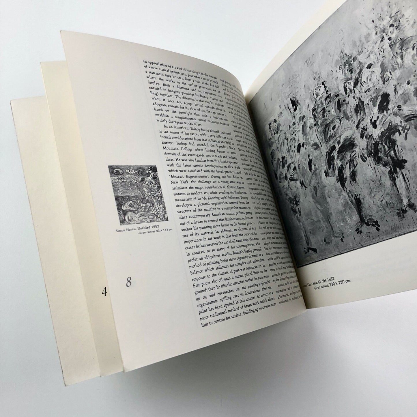 The Subject of Painting. A Selection by Paul Rogers | Museum of Modern Art Oxford catalogue, 1982
