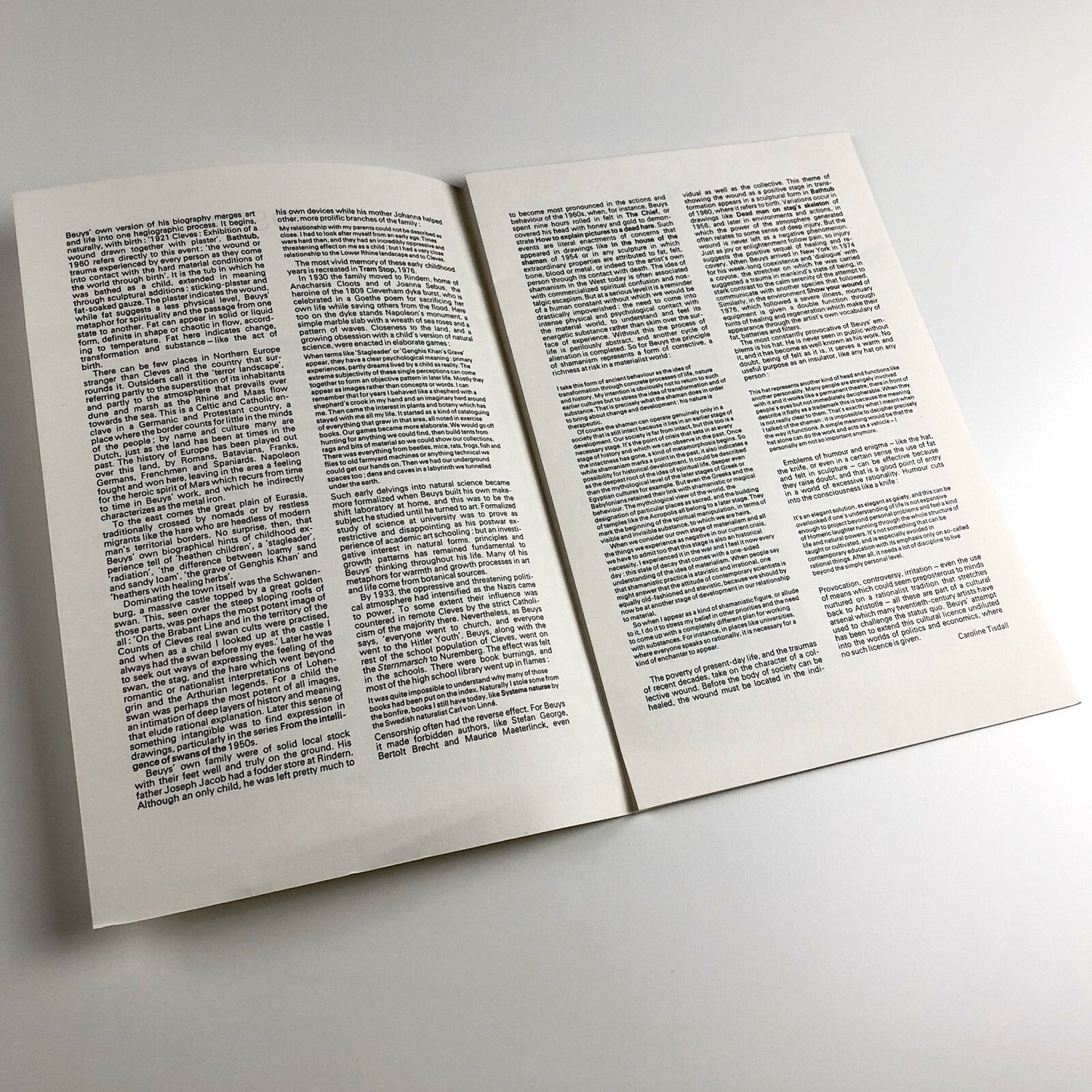 Joseph Beuys | Anthony d'Offay exhibition leaflet | August 1980 | Text by Caroline Tisdall