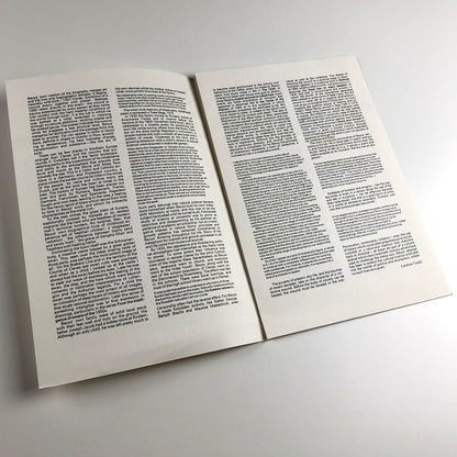 Joseph Beuys | Anthony d'Offay exhibition leaflet | August 1980 | Text by Caroline Tisdall