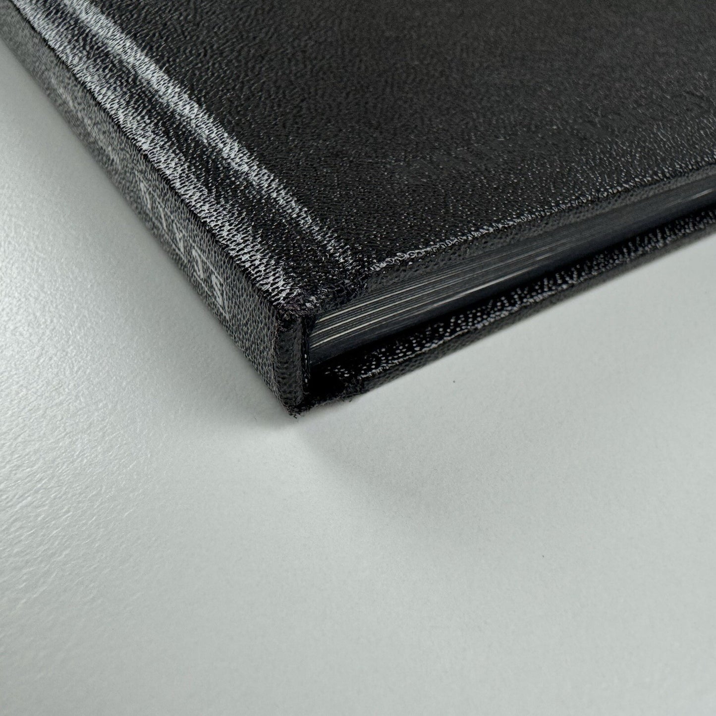 Michael Raedecker – Show | Hauser & Wirth exhibition catalogue, 2005