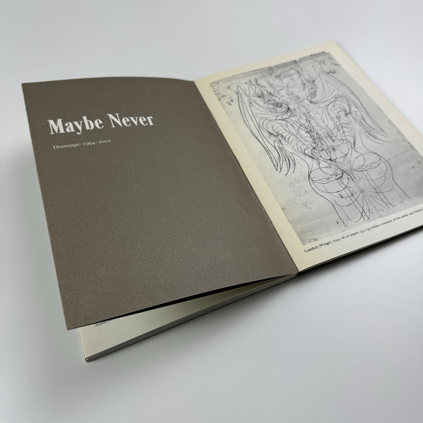 Matthew Monahan – Five years ten years maybe never | MOCA Los Angeles Focus, exhibition catalogue 2007