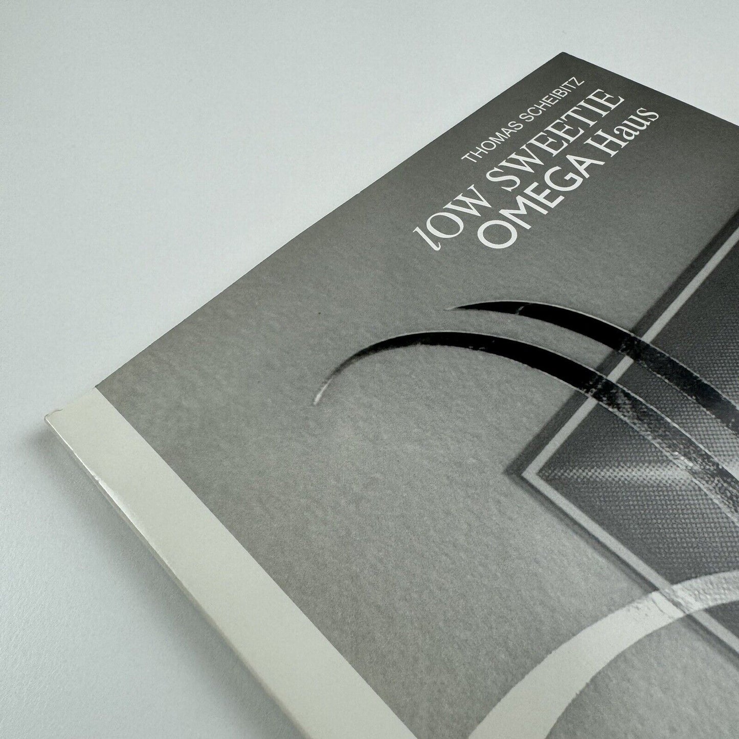 Thomas Scheibitz. Low sweetie Omega Haus | Produzentengalerie, Hamburg, 2006