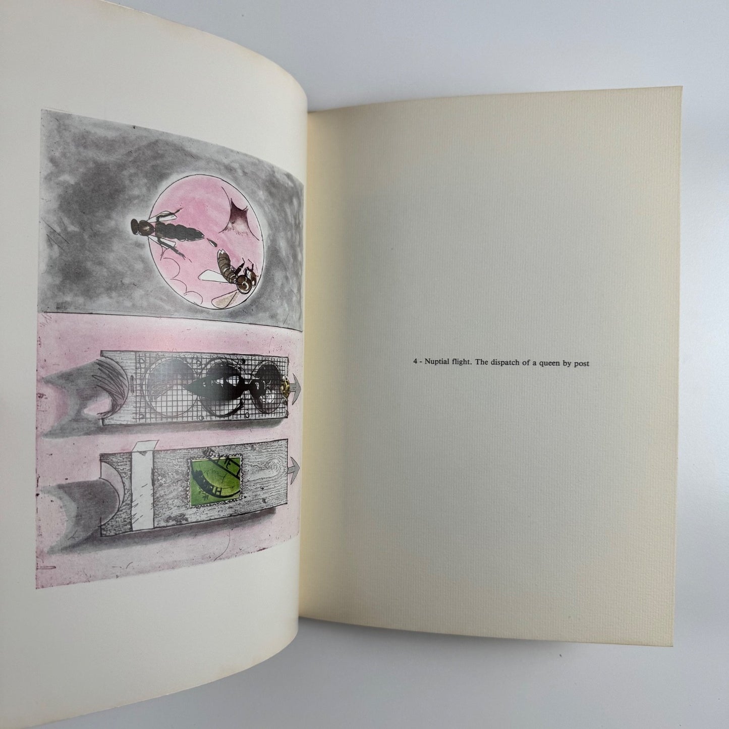 Sutherland "Bees" | Marlborough Fine Art and 2RC - Editrice, Rome June-July 1977