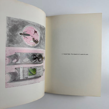 Sutherland "Bees" | Marlborough Fine Art and 2RC - Editrice, Rome June-July 1977