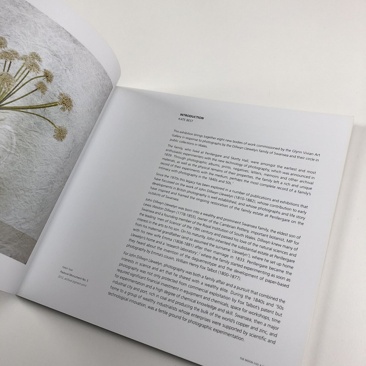 The Moon and a Smile | Glynn Vivian Art Gallery exhibition catalogue, 2017