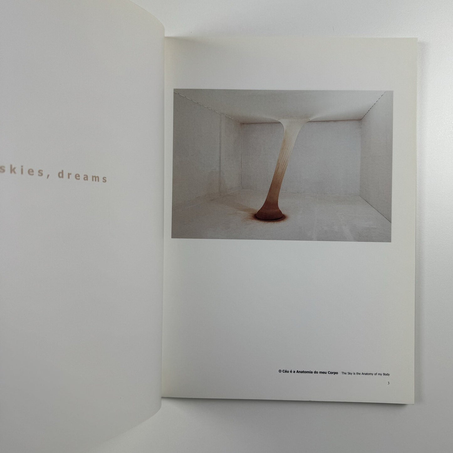 Ernesto Neto. naves, céus, sonhos | Galeria Camargo Vilaça catalogue, 1999