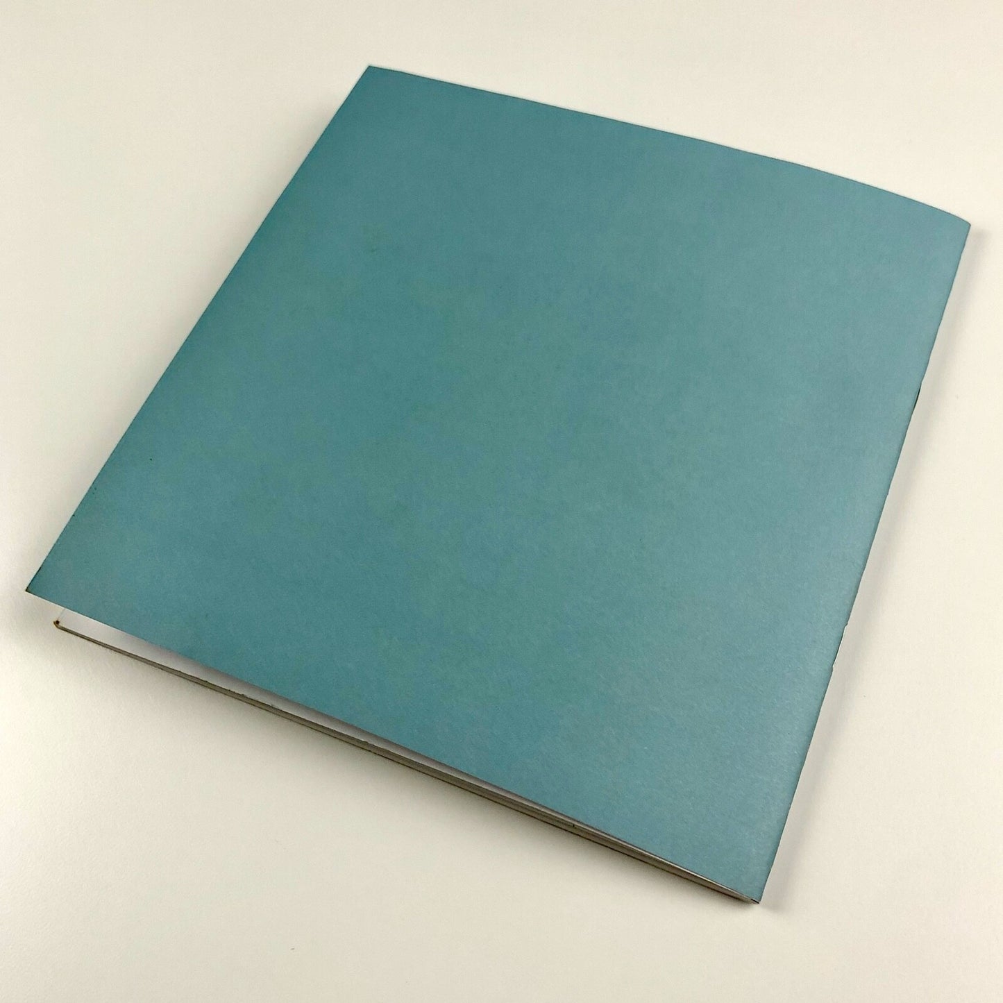 Nothing But Mirrors and Tides – David Manley paintings | Derby Museum catalogue, 2002