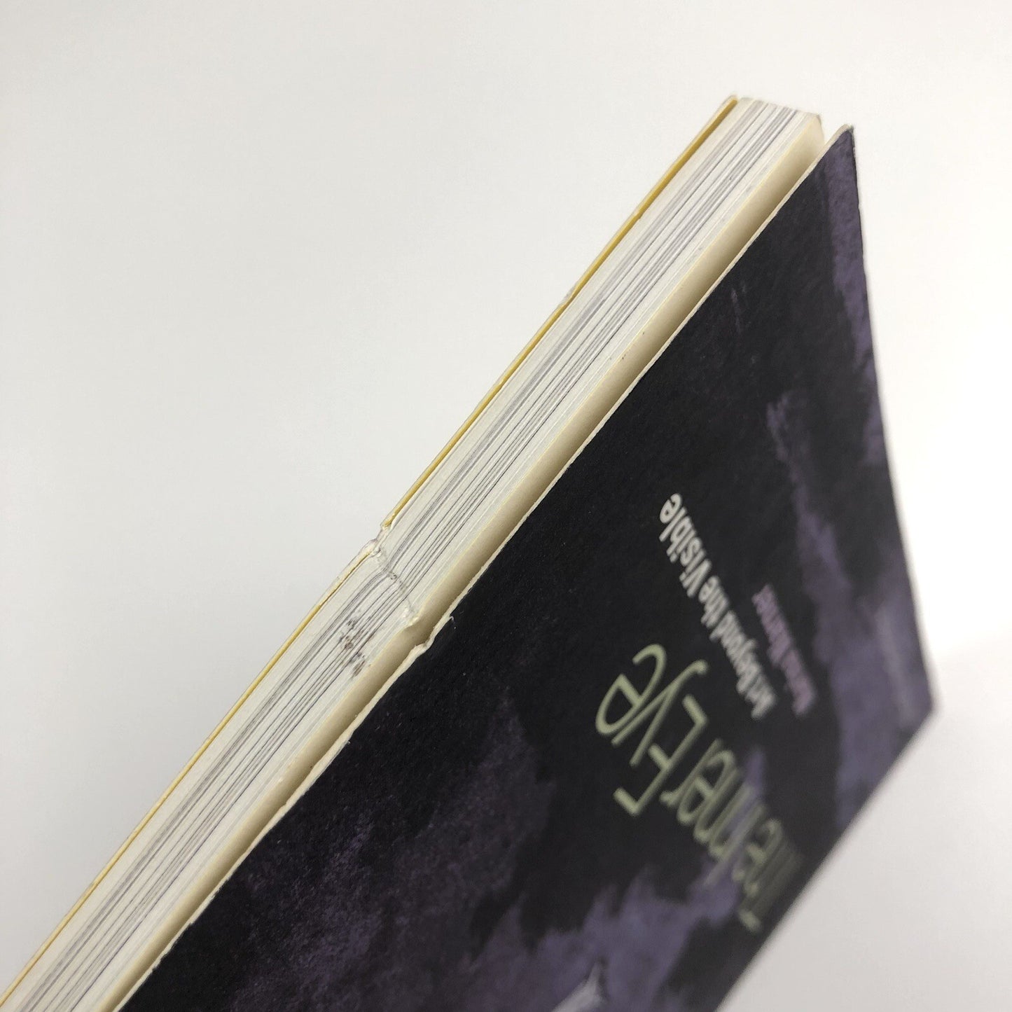 The Inner Eye – Art Beyond the Visible by Marina Werner | Hayward Gallery, 1996