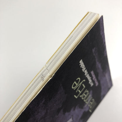 The Inner Eye – Art Beyond the Visible by Marina Werner | Hayward Gallery, 1996